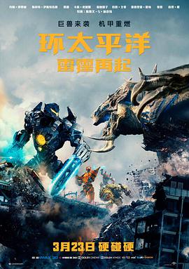 短剧免费更新《雾港迷踪》封面